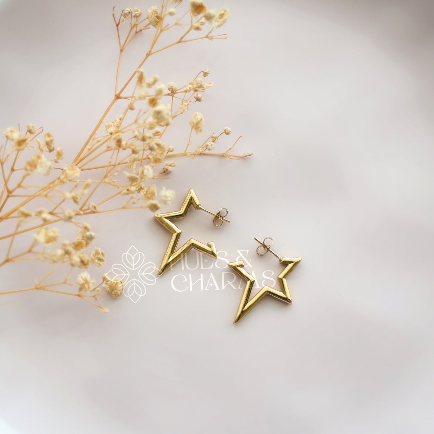 GOLDEN STAR HOOPS