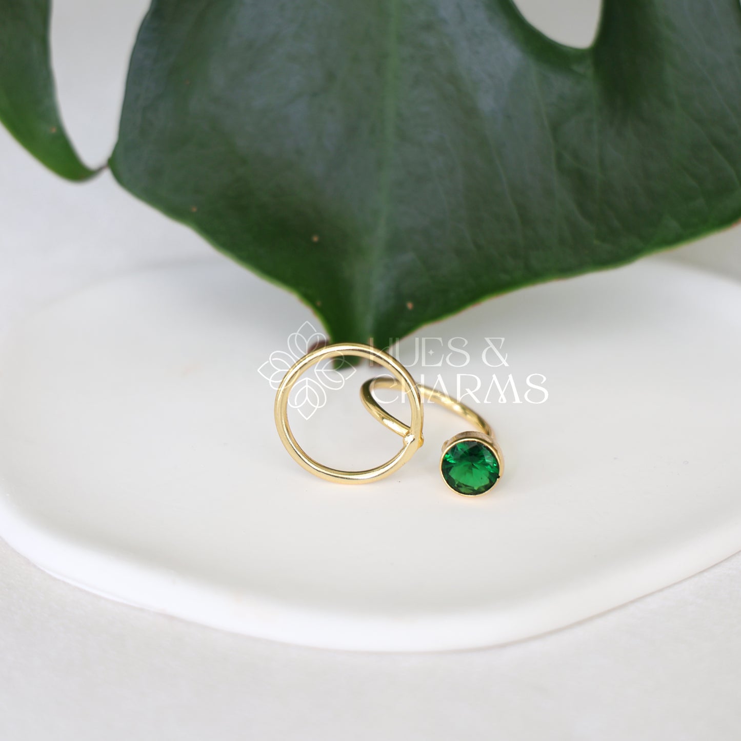 GOLDEN GLOSSY ECLIPSE ADJUSTABLE RING (COLOURS AVAILABLE)