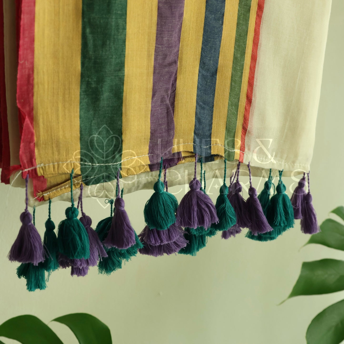 PURE MUL COTTON SAREE  - VARNIKA