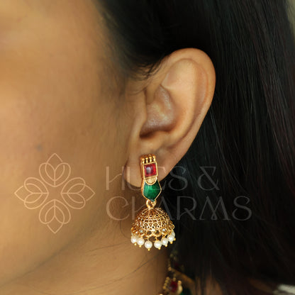 GOLDEN VAIBHAVAM PALAKKA NECKLACE SET (Colours available)