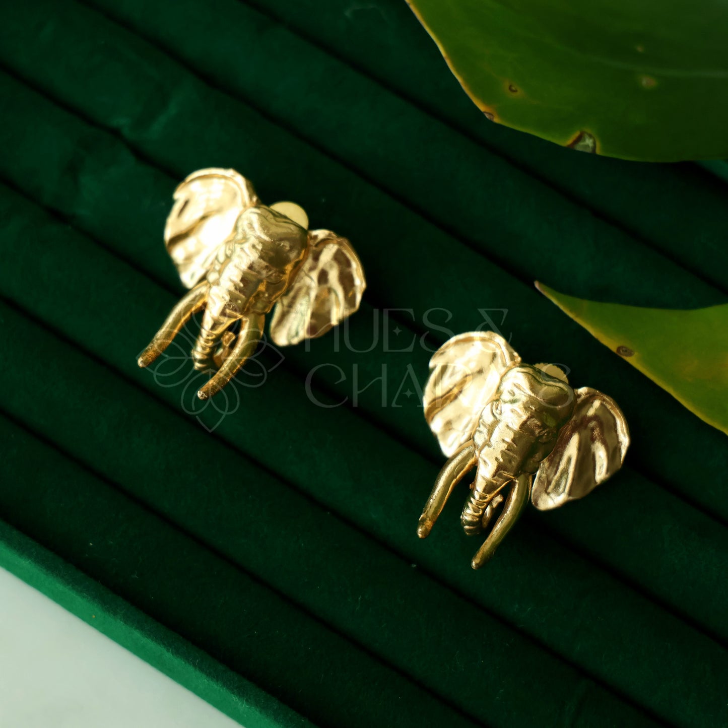 GOLDEN STATEMENT MAJESTIC TUSKER STUDS