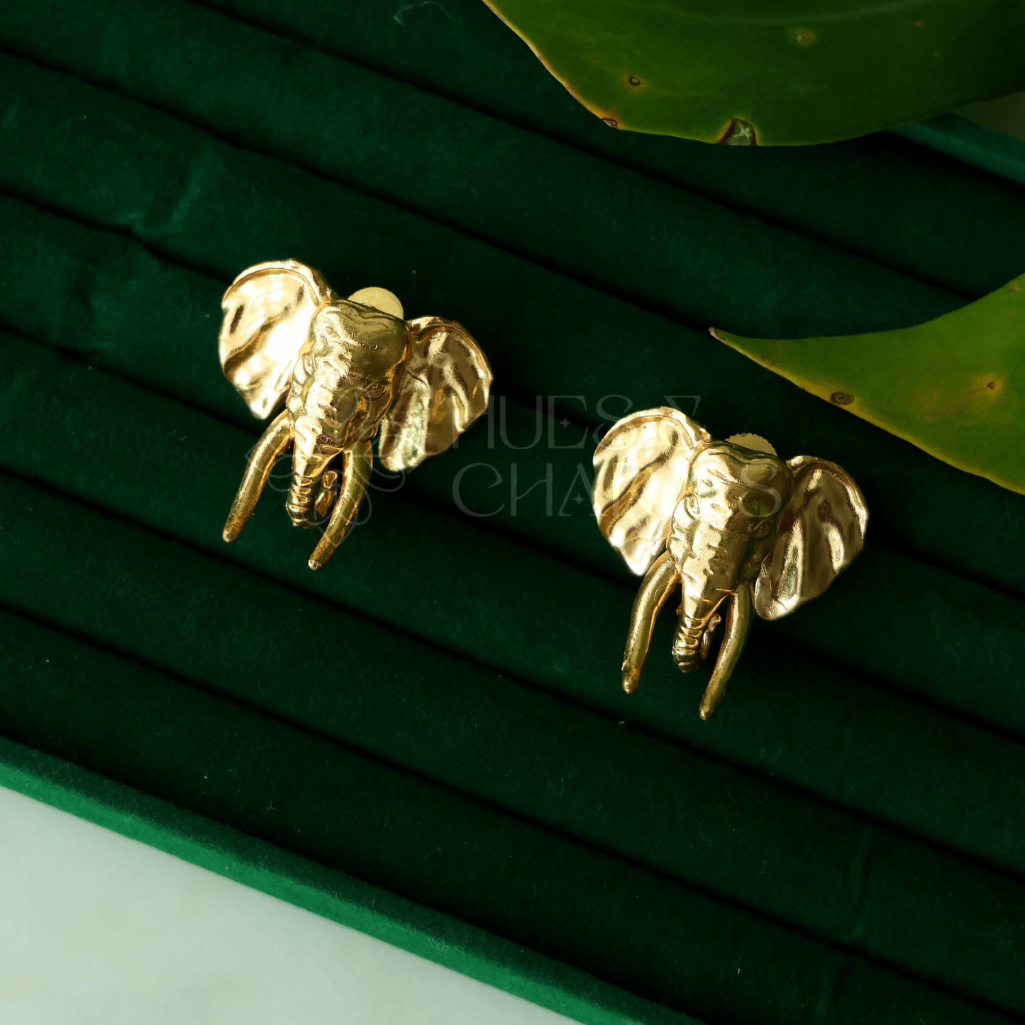 GOLDEN STATEMENT MAJESTIC TUSKER STUDS
